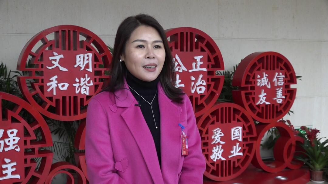 【聚焦两会】奔赴新征程：提高履职能力 为桂阳高质量发展贡献力量