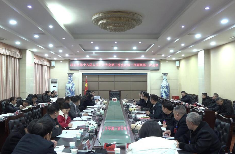 聚焦两会 | 县第十八届人民代表大会第三次会议各代表团分组审议政府工作报告