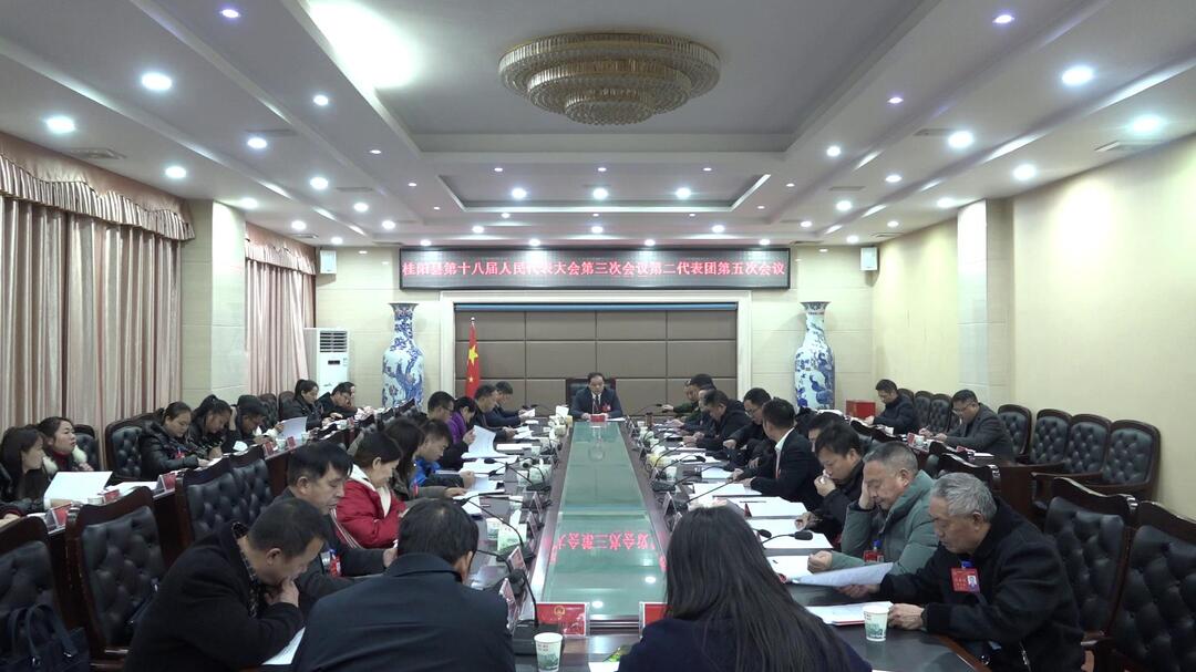 聚焦两会 | 李志强参加县第十八届人民代表大会第三次会议第二代表团讨论