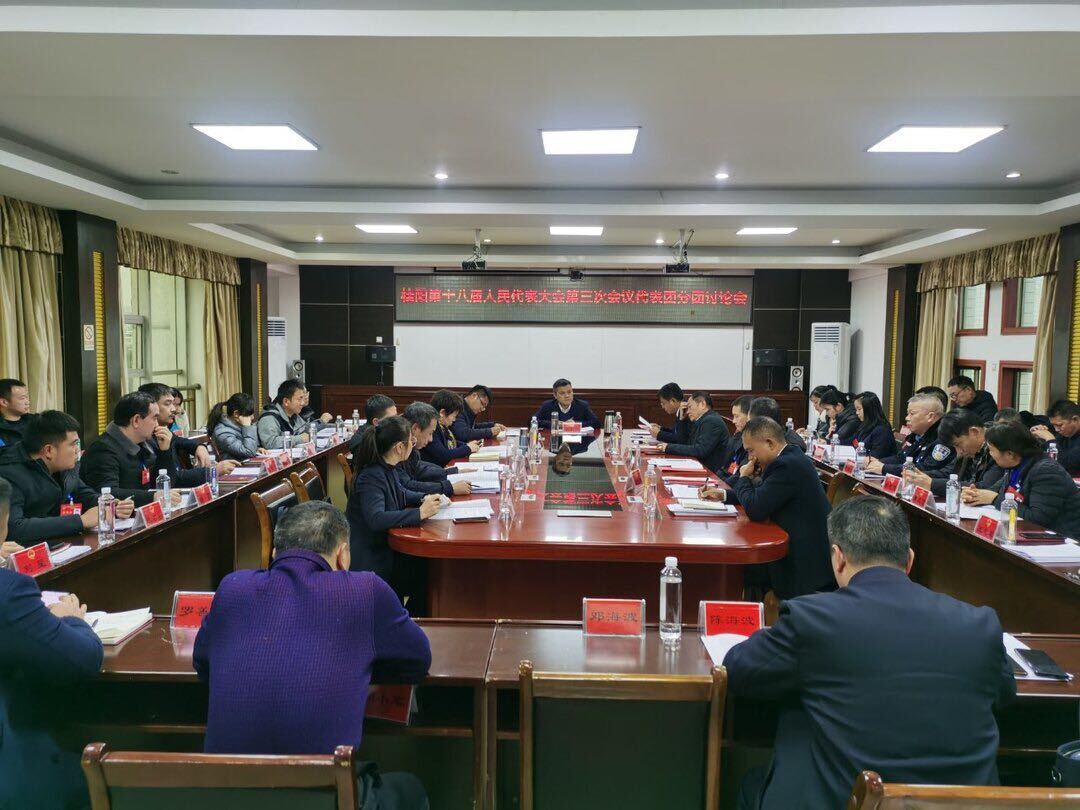 聚焦两会 | 巫初华参加县第十八届人民代表大会第三次会议第一代表团讨论