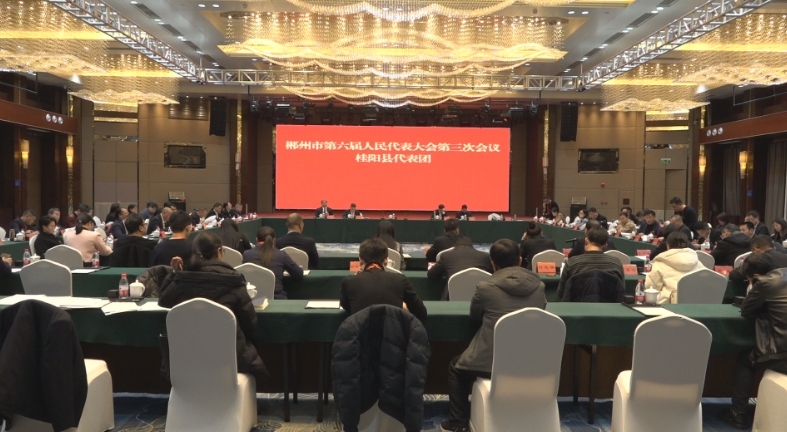 市六届人大三次会议：桂阳代表团讨论审议市政府工作报告