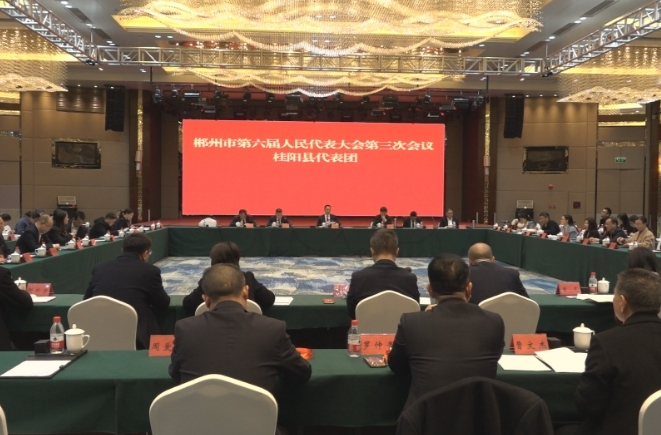 市六届人大三次会议|黄进良参加桂阳代表团审议：因地制宜 找准方向 推动县域经济高质量发展