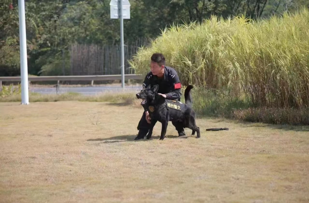 七旬老人晕倒山间  民警携警犬平安寻回