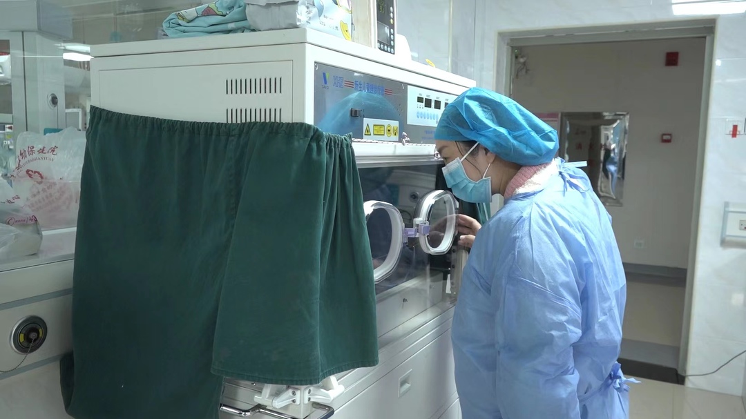 新生命 新希望 新年宝宝扎堆来