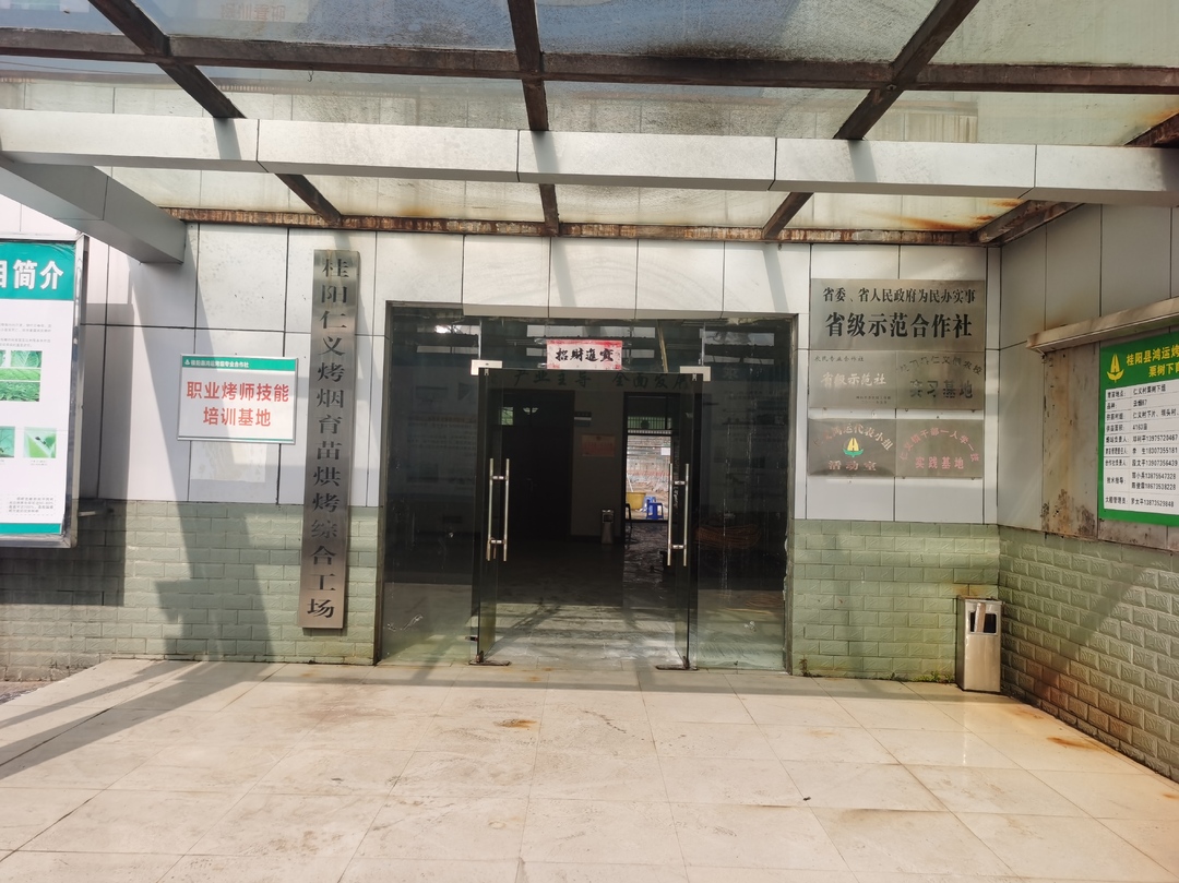 打好“发展六仗” | 人勤春早 育苗大棚管理忙