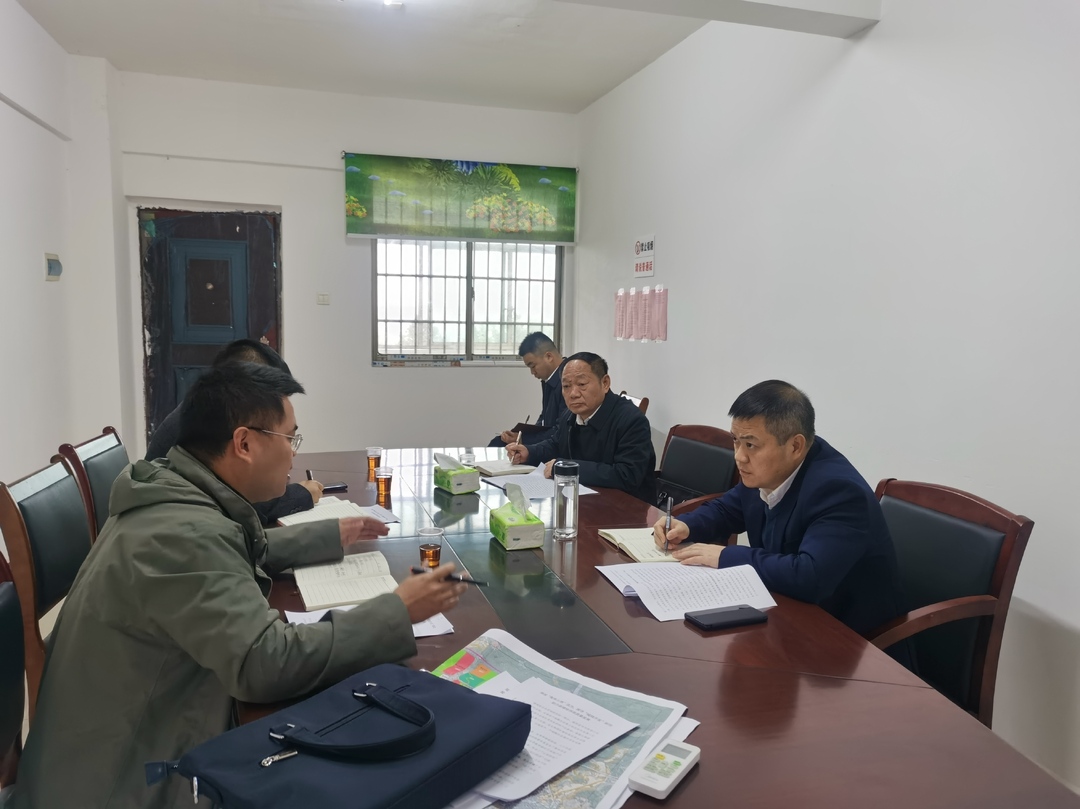 走基层 找问题 想办法 促发展 | 巫初华到乡镇调研指导当前重点工作