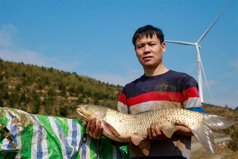 新春走基层丨冬捕迎新 鱼跃人欢