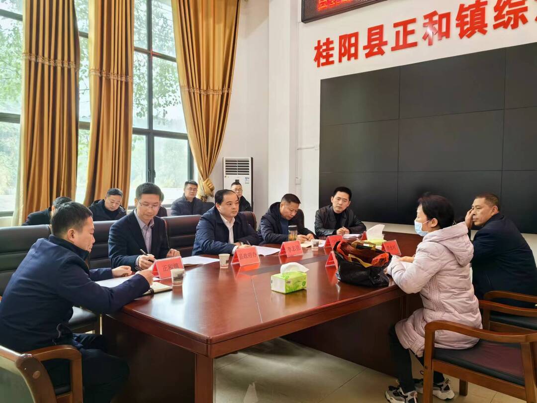 走基层 找问题 想办法 促发展 | 李志强下沉正和镇接待信访群众