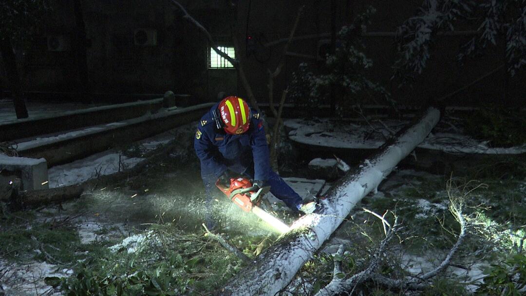应对低温雨雪天气 | 积雪压塌大树 消防及时救援解民忧