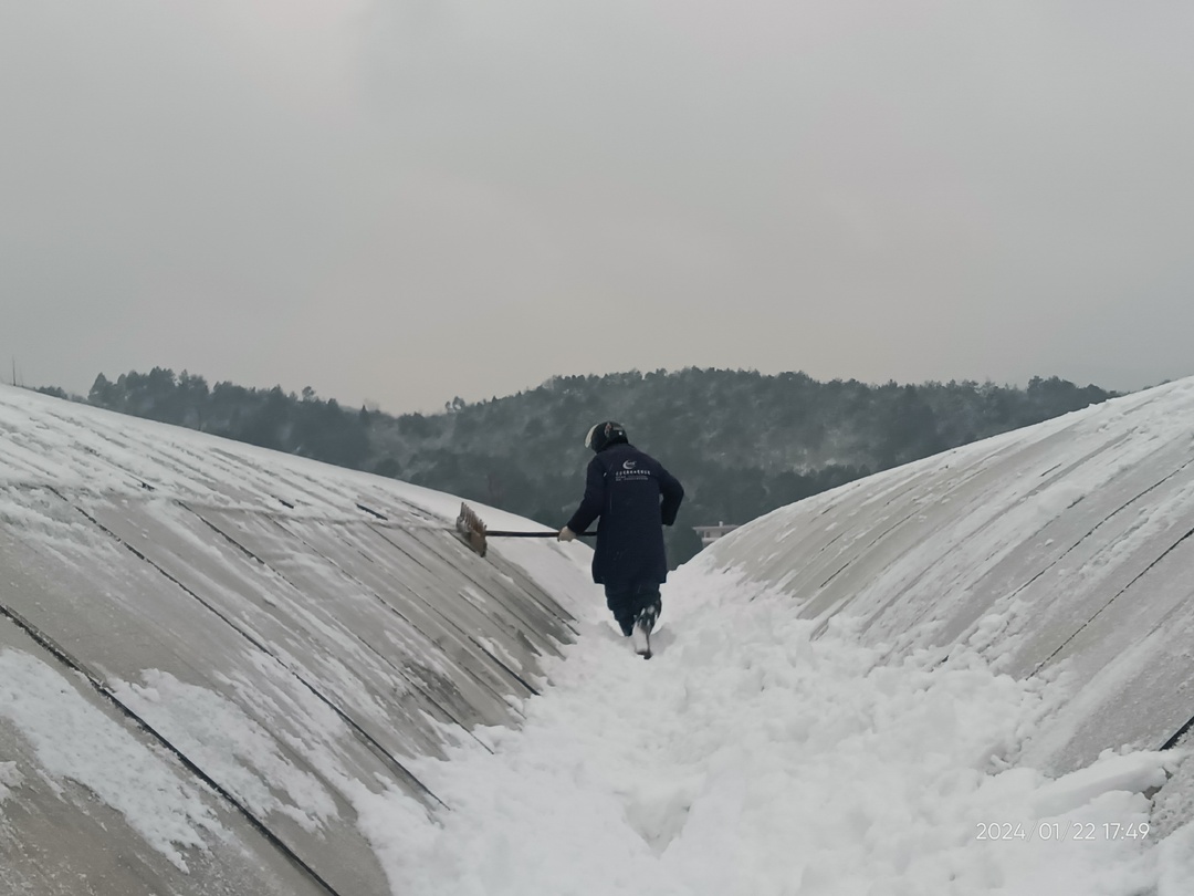 大雪压烟苗，众人排隐患