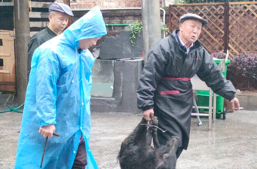 新春走基层 | 黄金圆子杀猪汤 幸福风味团圆年