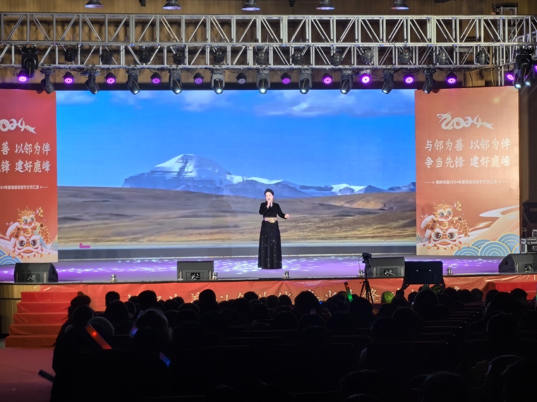 鹿峰街道举行2024年度首届邻居节文艺汇演