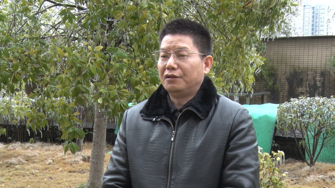 新春走基层 | 桂阳籍在外人士盛赞家乡祝福桂阳