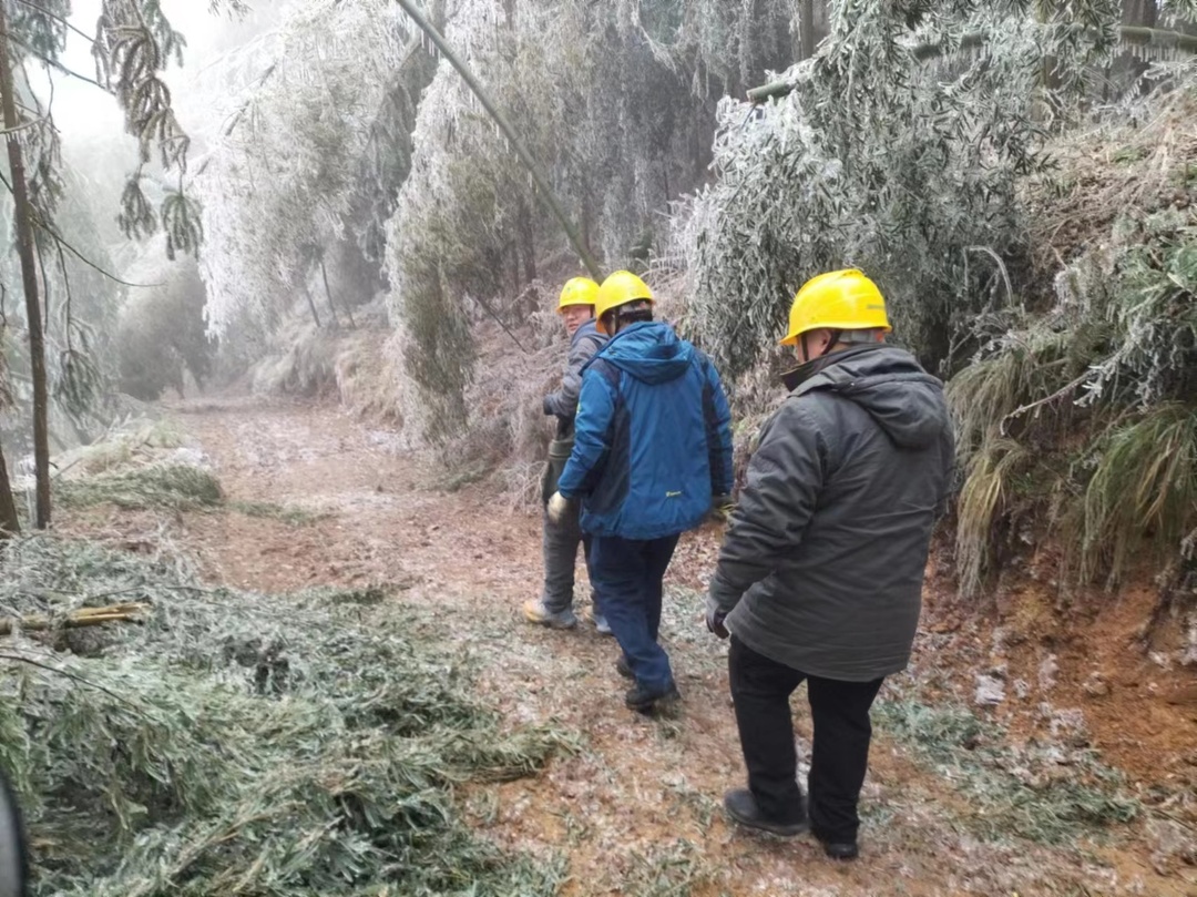 国网桂阳县供电公司：逆寒风而上  心系辉心村