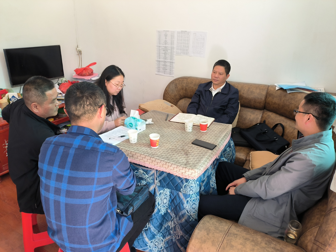 新春走基层：桂阳县人大助力乡镇高质量发展
