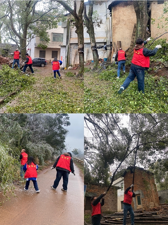 行动是最好的“清障机”！舂陵江镇社下村组织青年志愿者清理路障