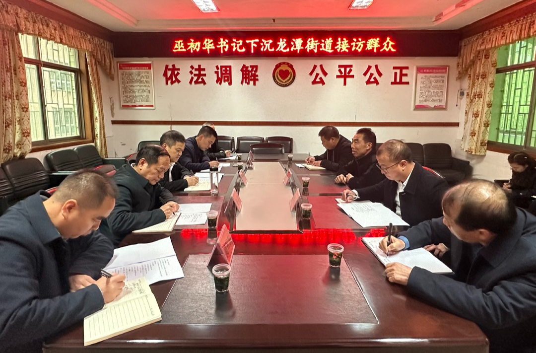 深入推进“六大新行动” 全面彰显“七个新担当”  巫初华下沉龙潭街道接访群众