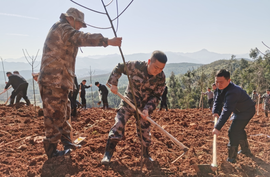 巫初华、李志强等县领导参加义务植树活动