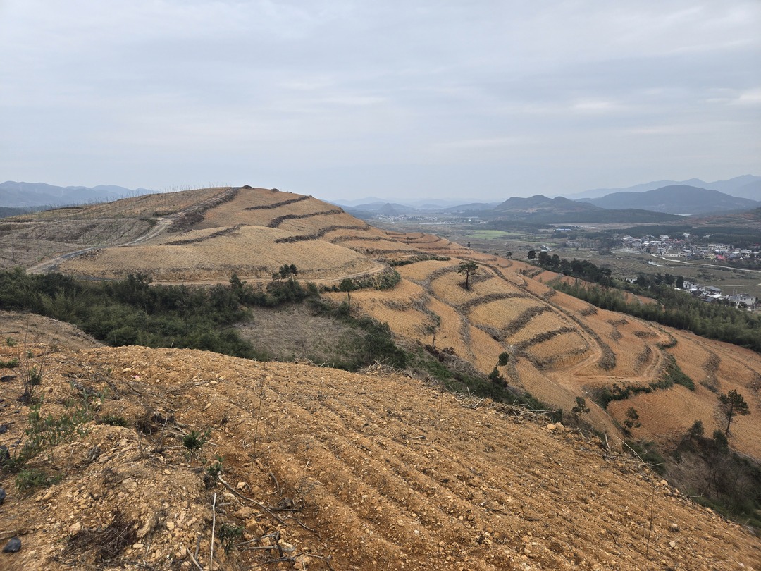 实施“八大行动”丨金融助农抢抓农时战春耕