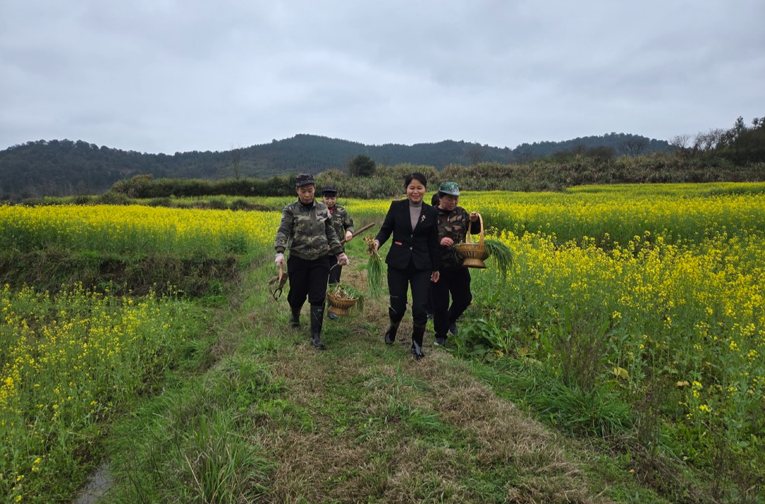 寻春意做春菜 春分来报春俊俏