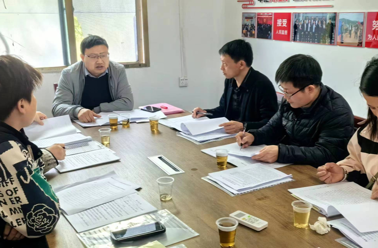 洋市镇人大：认真学习贯彻全国两会精神  推动各项工作走深走实