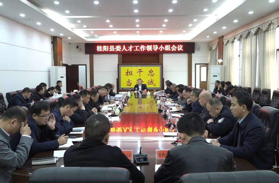 县委人才工作领导小组会议召开  提升人才工作水平  全力打造人才发展高地
