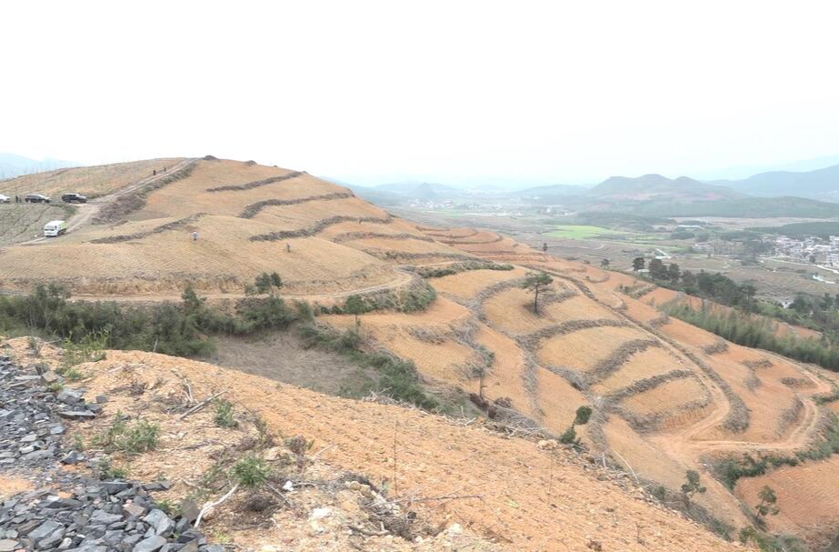 专家来我县考察中药材产业发展工作