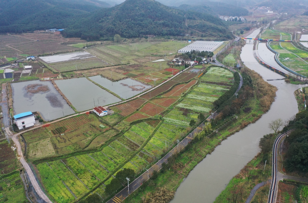 深入推进“六大新行动” 全面彰显“七个新担当” | 正和镇和谐村：因地制宜盘活土地资产 让文旅经济“锦上添花”