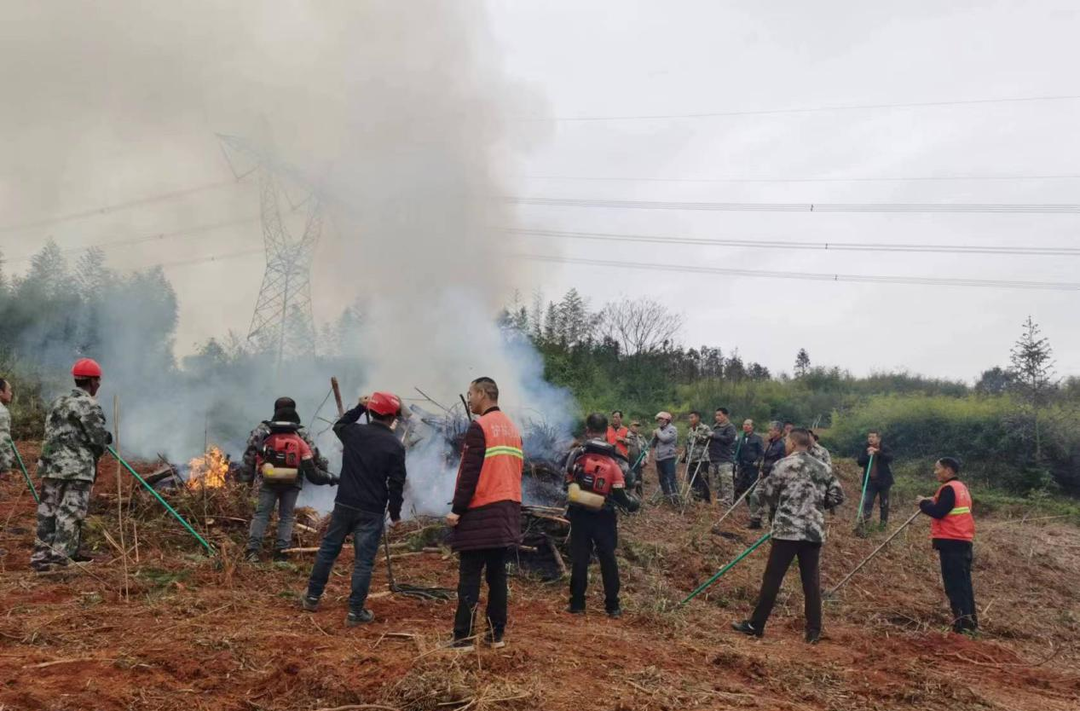 仁义镇：开展森林防灭火实战演练  防患于未“燃”