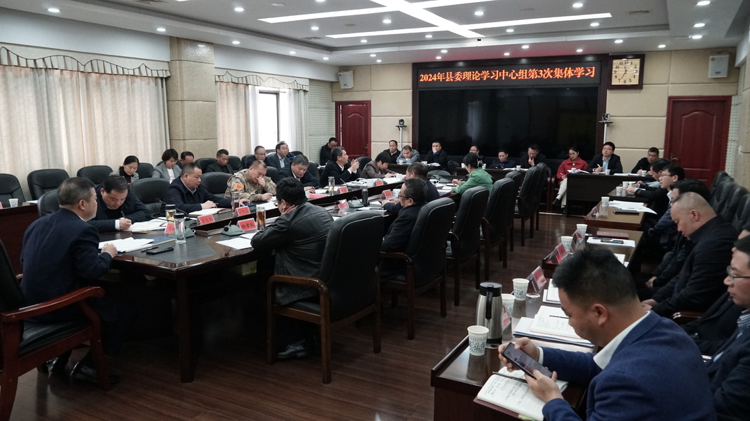 2024年县委理论学习中心组举行第3次集体学习