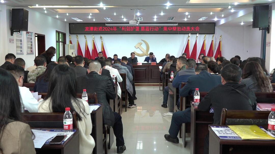 龙潭街道召开2024年“利剑护蕾·雷霆行动”集中整治动员大会