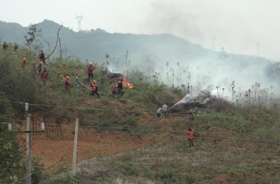 市政协来桂开展改善生态环境专项民主监督暨乡村振兴调研