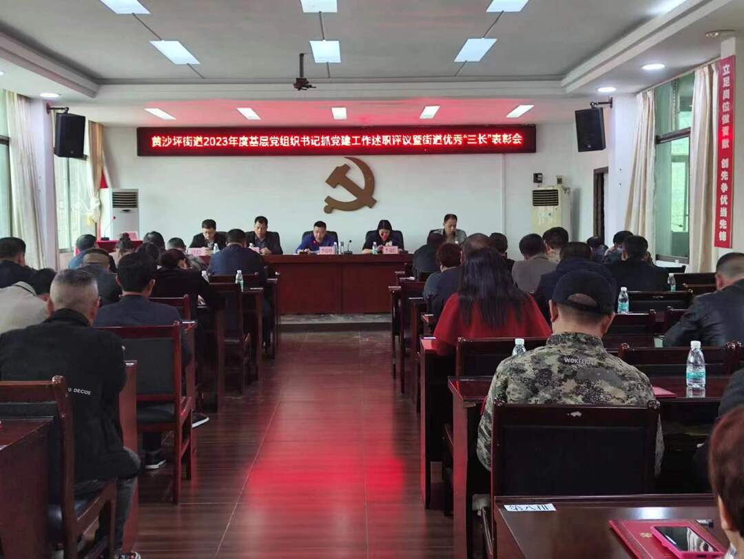 黄沙坪街道召开2023年度基层党组织书记抓党建工作述职评议暨街道优秀“三长”表彰大会