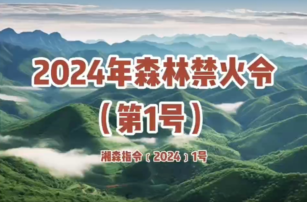 2024年森林禁火令