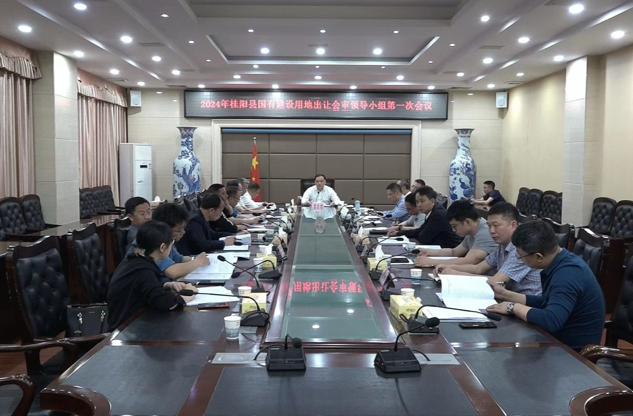 李志强主持召开2024年全县国有建设用地出让会审领导小组第一次会议  提高思想认识  依法依规做好土地出让工作