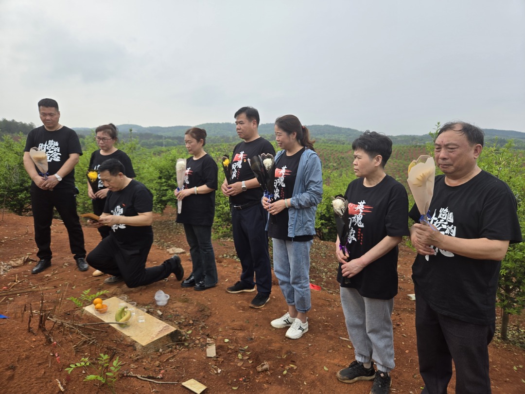 我们的节日•清明 | 红军墓前寄哀思 青绿山野铸忠魂