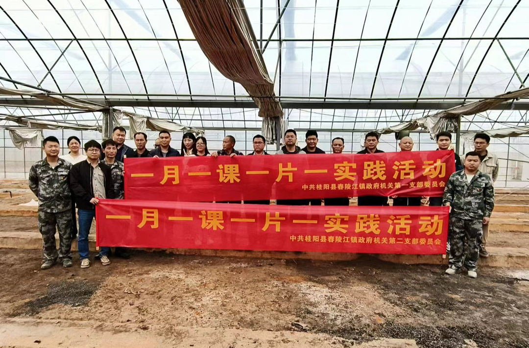 舂陵江镇：集中育秧助春耕 打好早稻生产第一仗