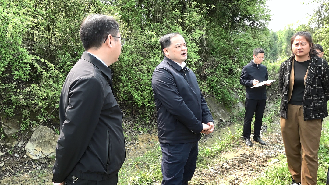 深入推进“六大新行动” 全面实施“八大行动”  李志强调研人大代表建议、政协委员提案办理等工作