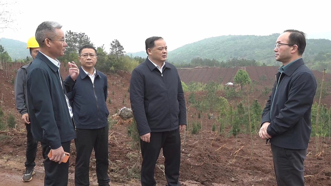 深入推进“六大新行动” 全面实施“八大行动” | 李志强调研历史遗留矿山生态修复工作  压实工作责任 全力筑牢生态安全“防护墙”