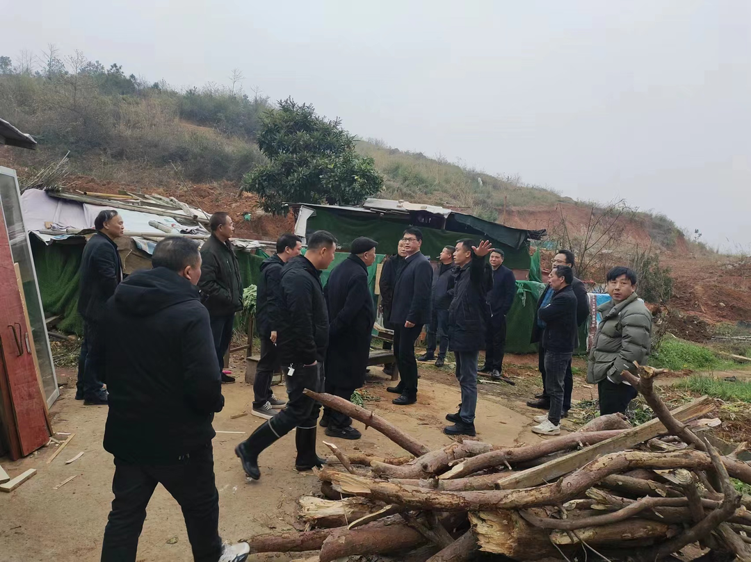 龙潭街道纪工委：畅通协同联动机制 助力优化营商环境