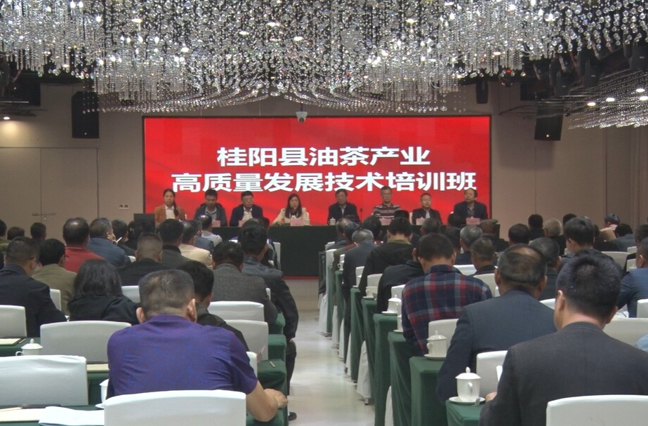 我县举办油茶产业高质量发展技术培训班