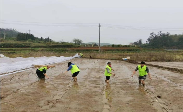 黄沙坪街道：不误农时不负春   助农春耕生产