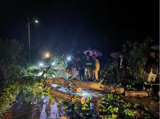 流峰镇：风雨雷电树折腰   齐心协力保安全