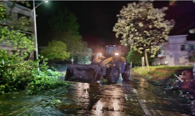 太和镇：深夜大树倒伏阻路  政府闻讯冒雨清障