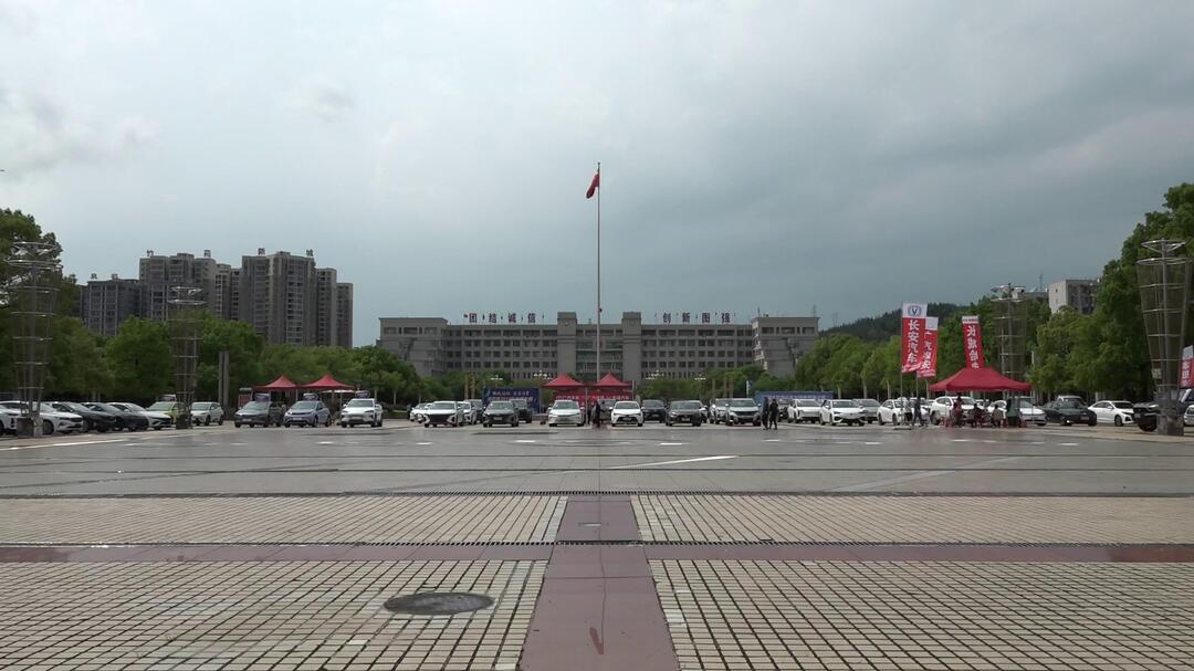 深入推进“六大新行动” 全面实施“八大行动”| 我县举行春季车展