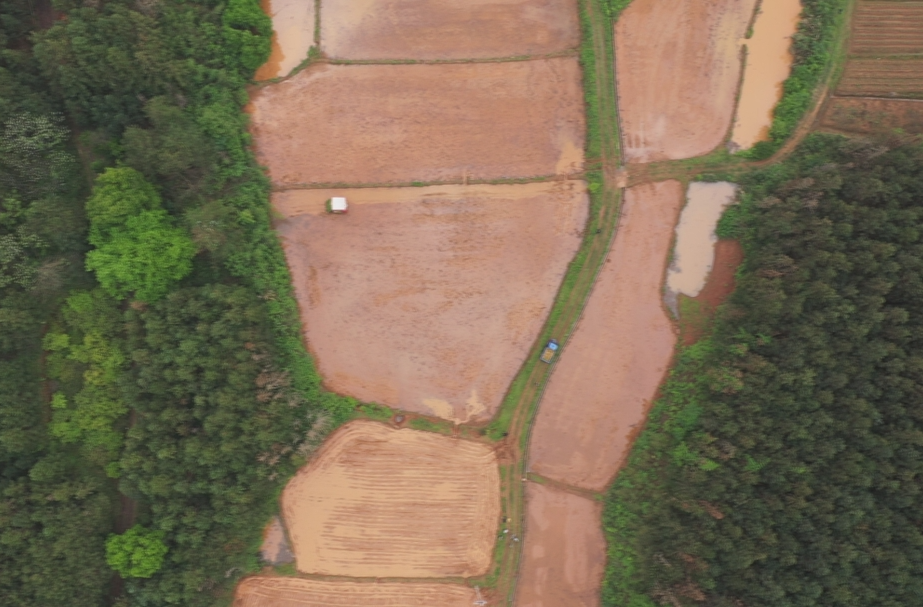 深入推进“六大新行动” 全面实施“八大行动”  早稻插秧正当时  荒地翻耕稳增收