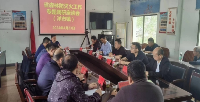省森防办来桂阳调研森林防灭火工作