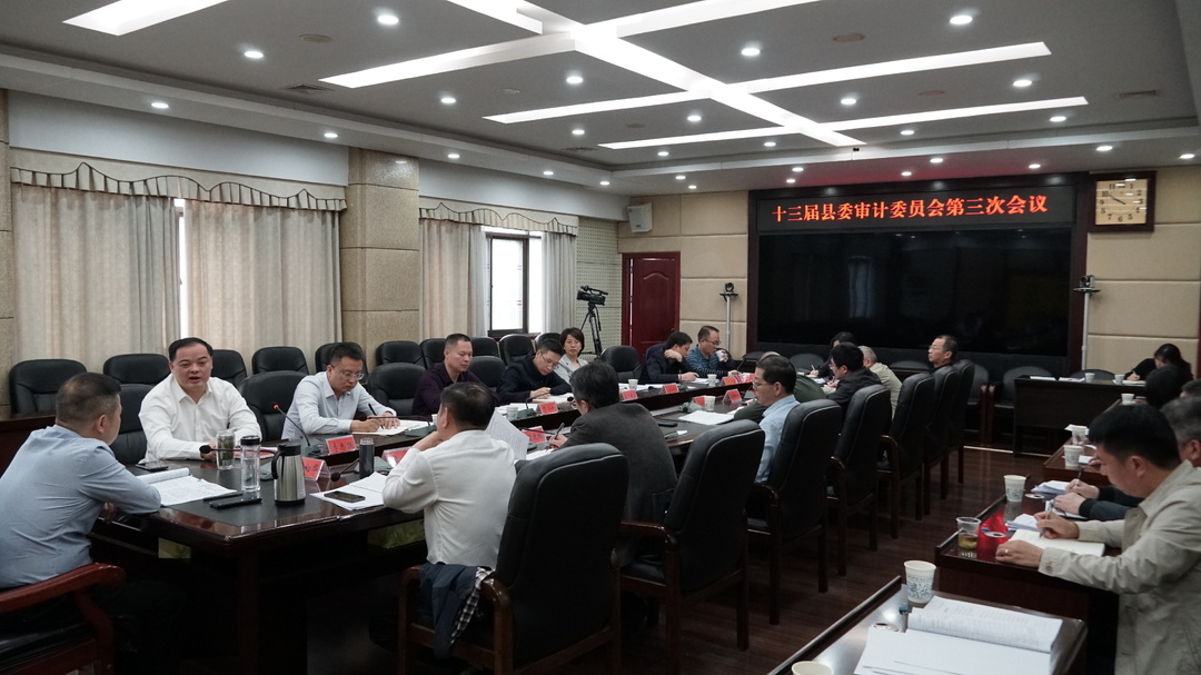 巫初华主持召开十三届县委审计委员会第三次会议