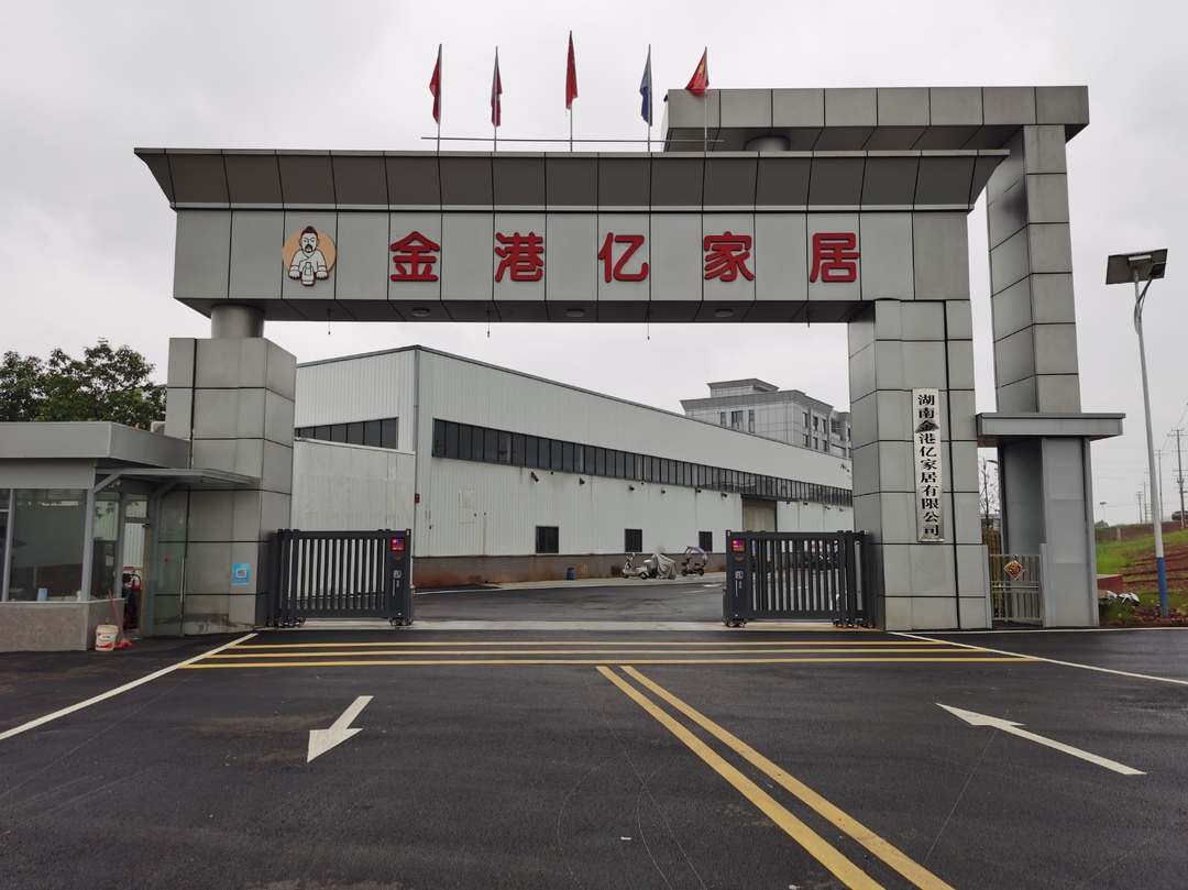 深入推进“六大新行动” 全面实施“八大行动” 丨金港亿家居寻找海外“新机遇”