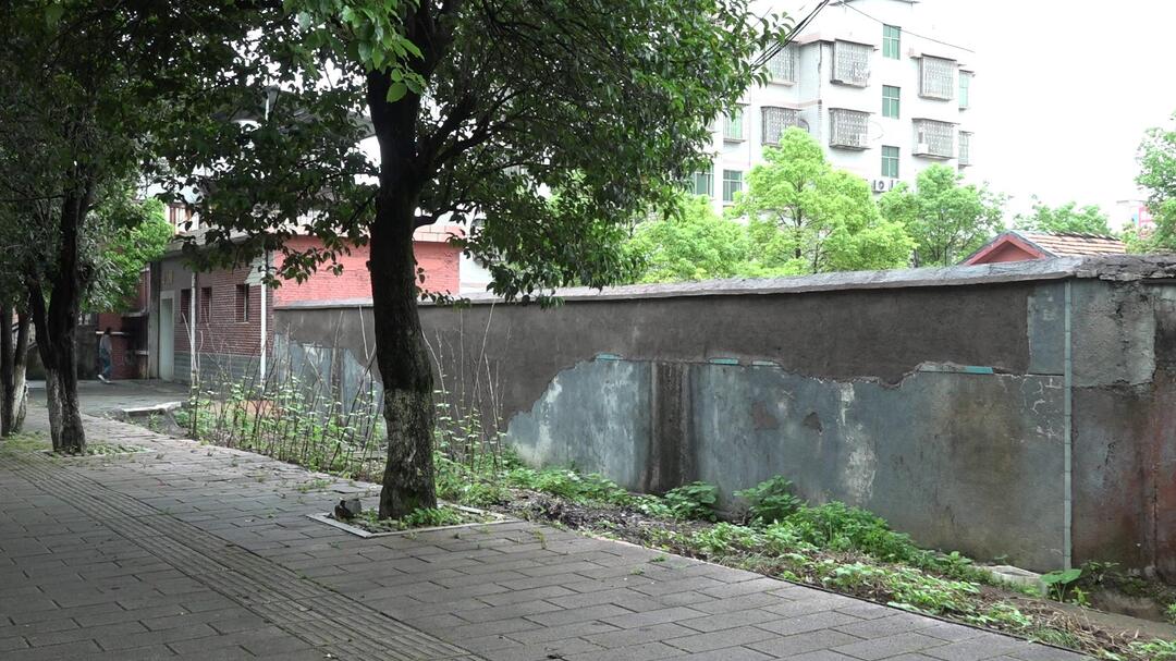 中央生态环境保护督察 立行立改 我县查处一起露天焚烧垃圾违法行为